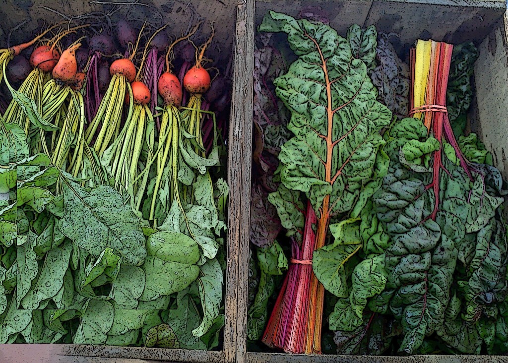 Camden Farmers' Market Maine Federation of Farmers' Markets