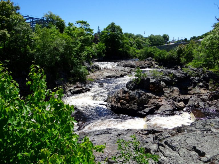 Machias Valley Farmers' Market Maine Federation of Farmers' Markets new