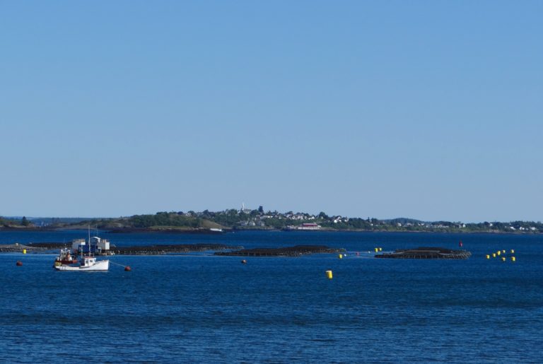 Eastport Farmers' Market Maine Federation of Farmers' Markets new