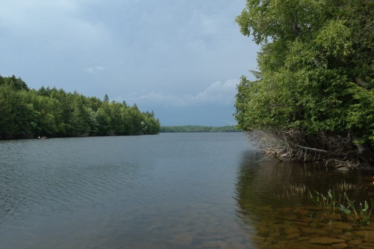 Princeton Farmers' and Artisans' Market Maine Federation of Farmers