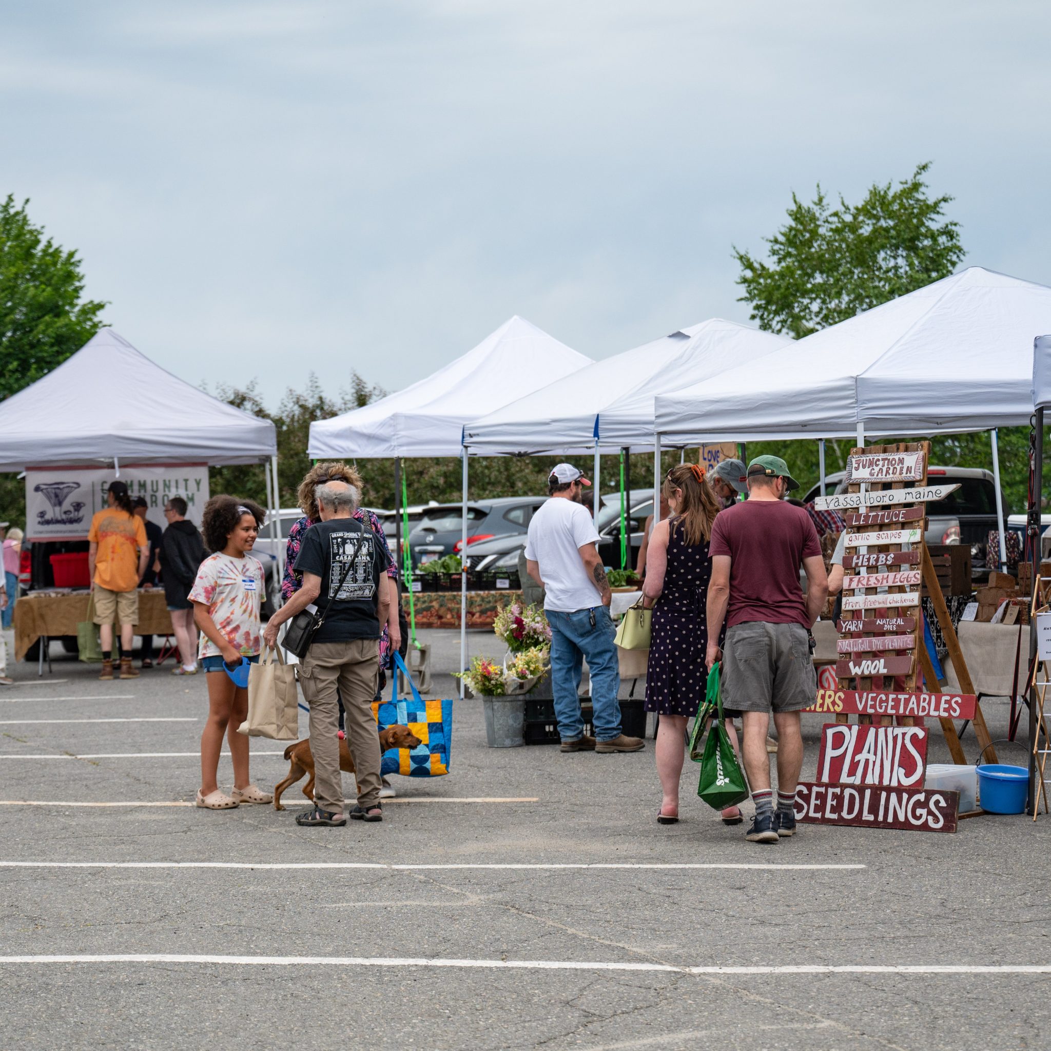 Hiring for Info Booth Positions! - Maine Federation of Farmers' Markets ...